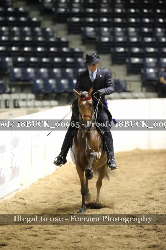 Proof 18BUCK_00965
