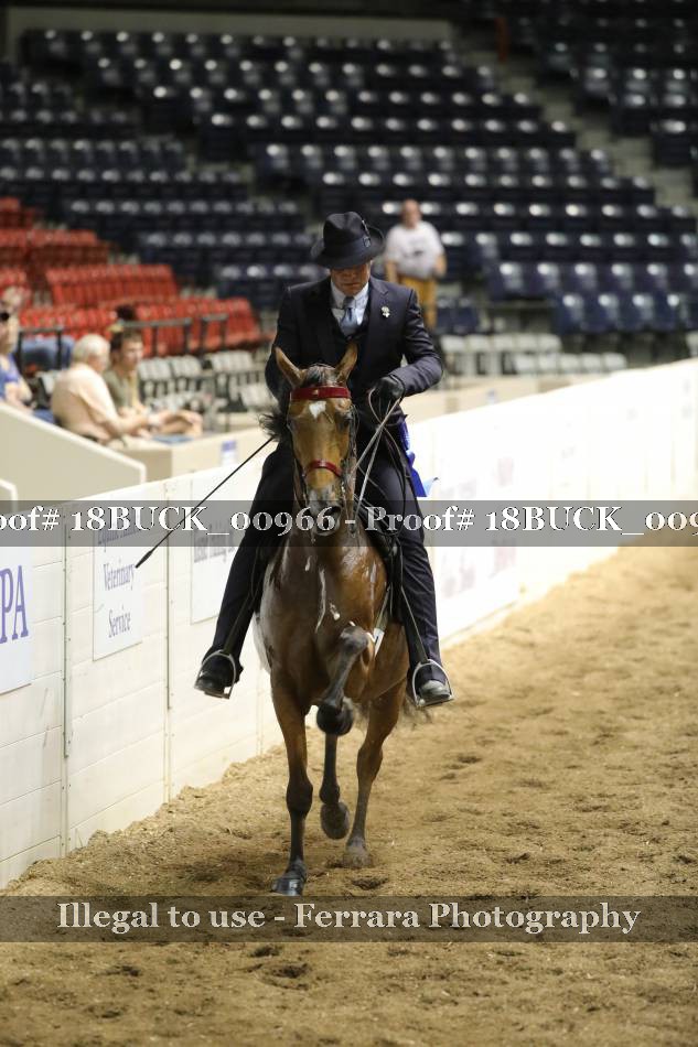 Proof 18BUCK_00966