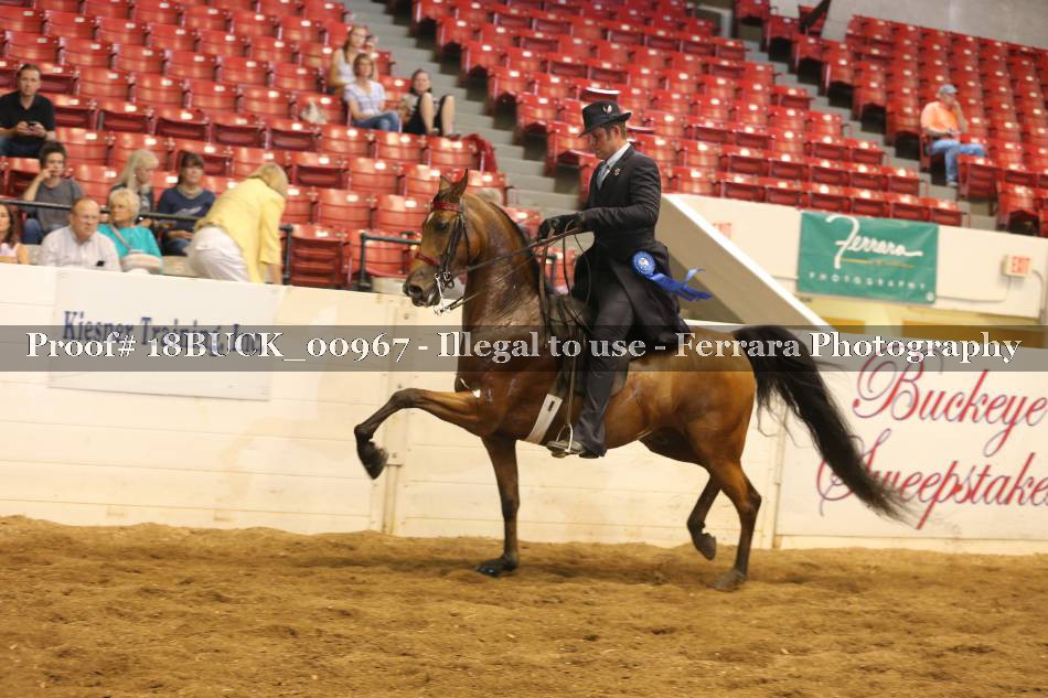 Proof 18BUCK_00967