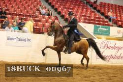 18BUCK_00967 proof