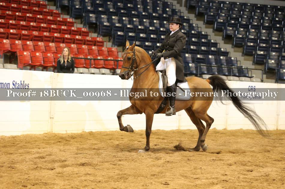 Proof 18BUCK_00968