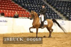 18BUCK_00968 proof