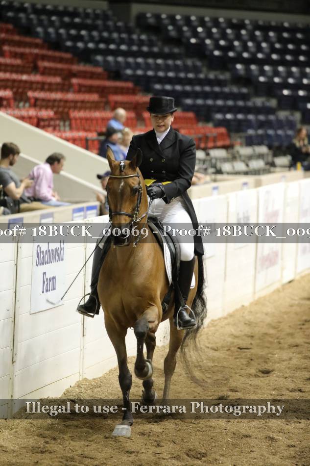 Proof 18BUCK_00969