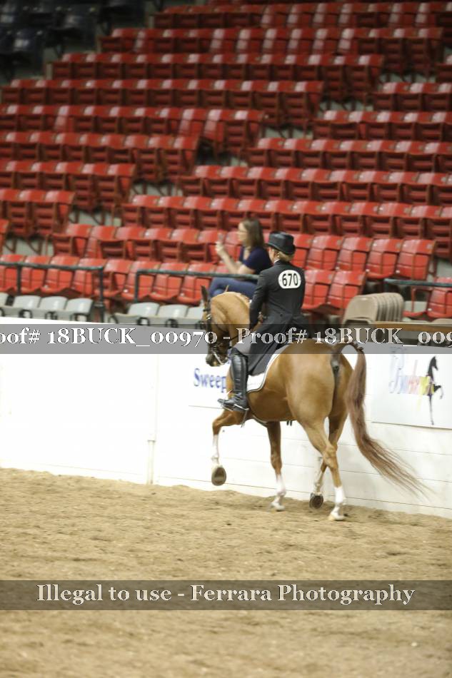 Proof 18BUCK_00970
