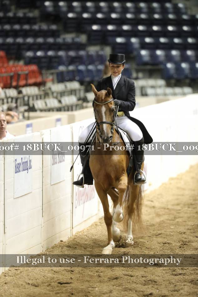 Proof 18BUCK_00971