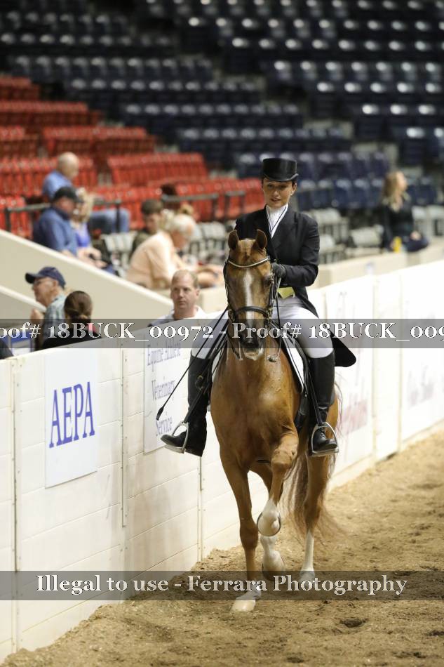 Proof 18BUCK_00972