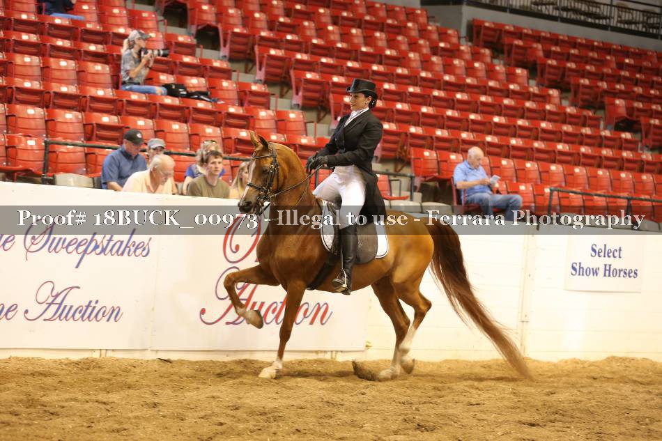 Proof 18BUCK_00973