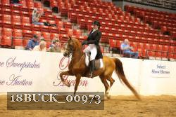 18BUCK_00973 proof