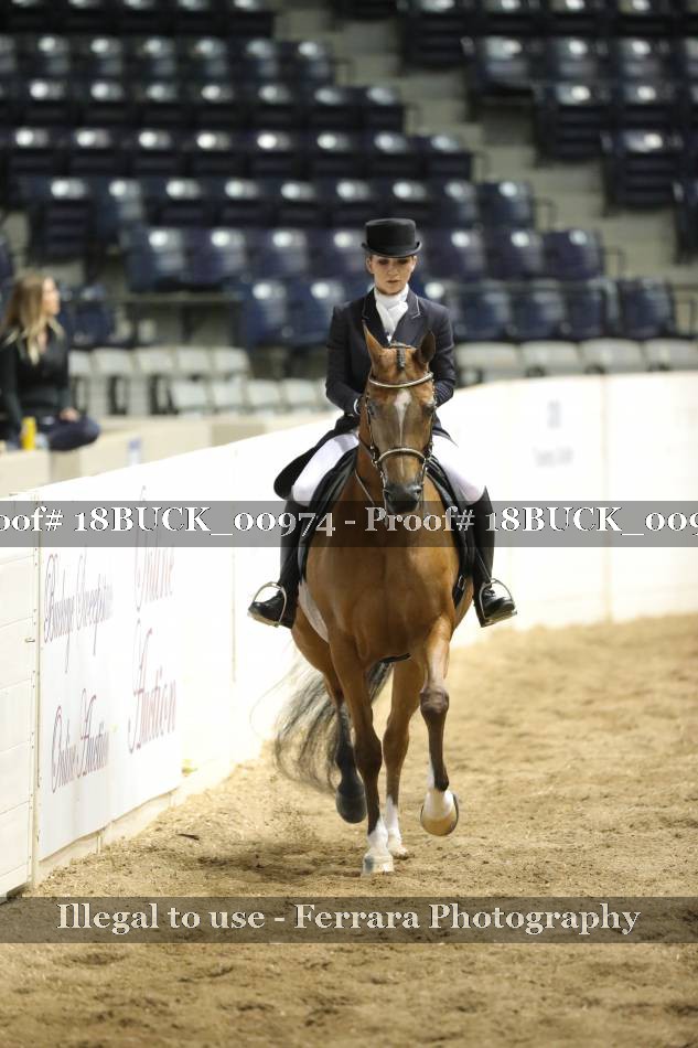 Proof 18BUCK_00974