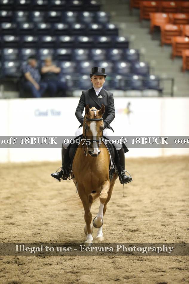 Proof 18BUCK_00975