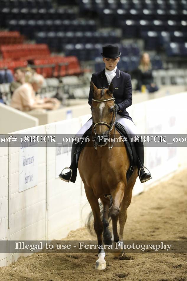 Proof 18BUCK_00976