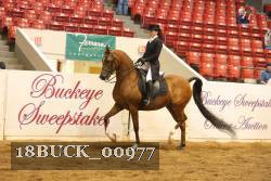 18BUCK_00977 proof