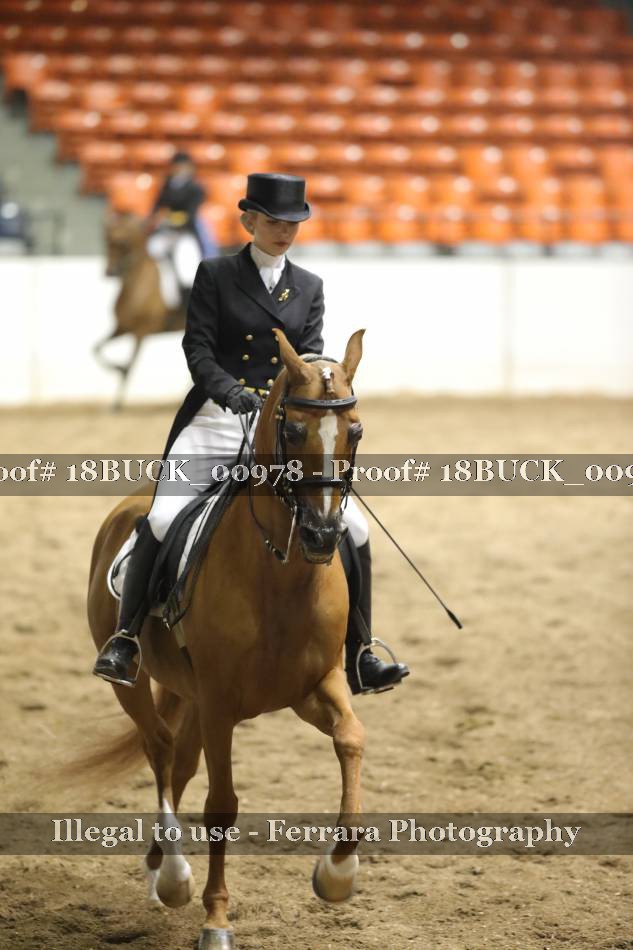 Proof 18BUCK_00978