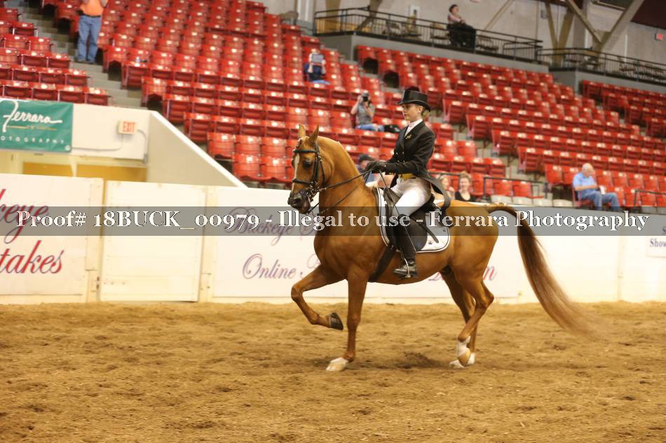 Proof 18BUCK_00979
