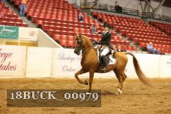 18BUCK_00979 proof