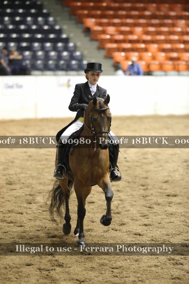 Proof 18BUCK_00980