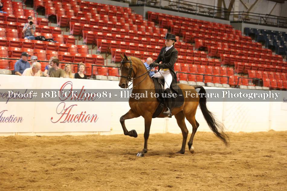 Proof 18BUCK_00981