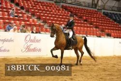 18BUCK_00981 proof