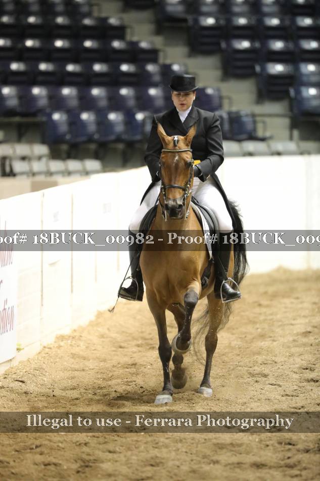 Proof 18BUCK_00982