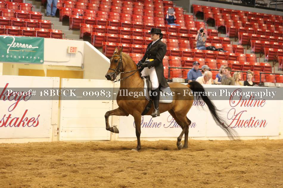 Proof 18BUCK_00983