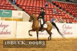 18BUCK_00983 proof