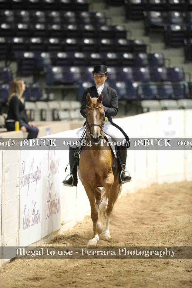 Proof 18BUCK_00984