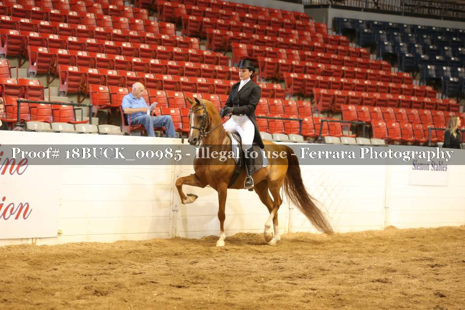 Proof 18BUCK_00985