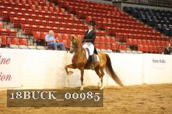 18BUCK_00985 proof