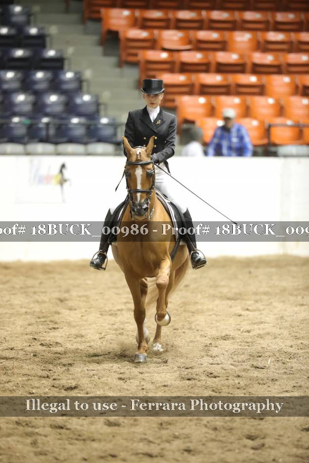 Proof 18BUCK_00986