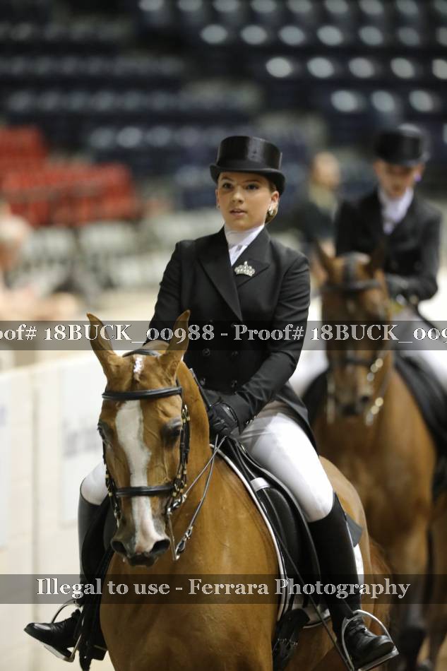 Proof 18BUCK_00988