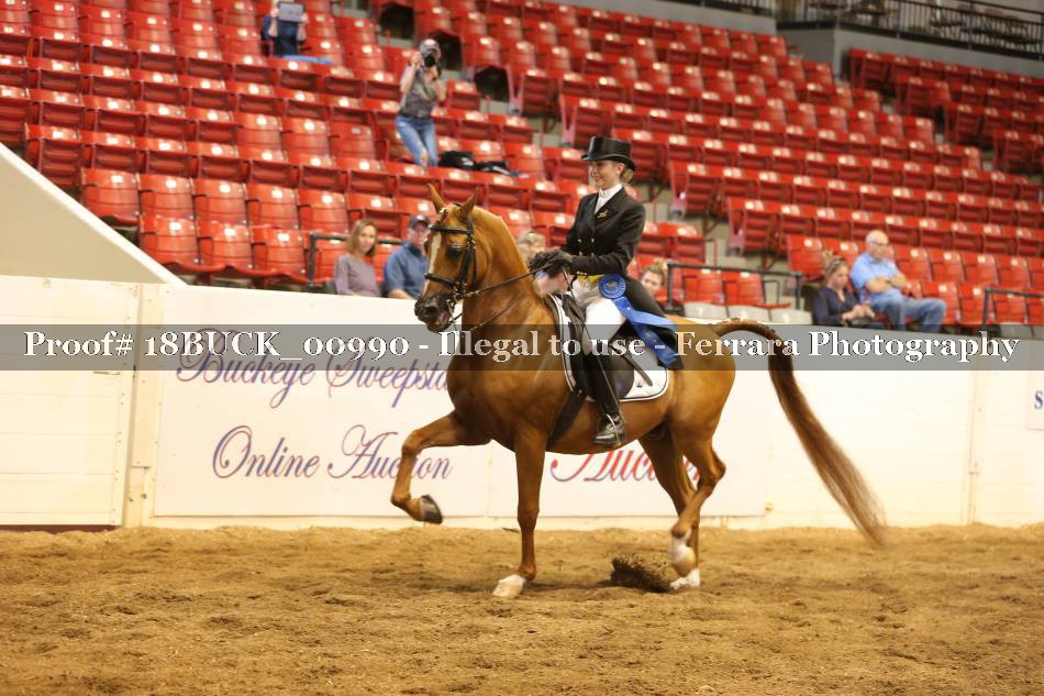 Proof 18BUCK_00990