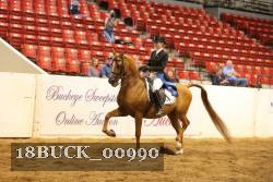 18BUCK_00990 proof