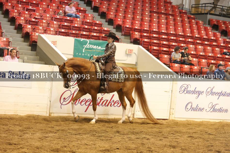 Proof 18BUCK_00993