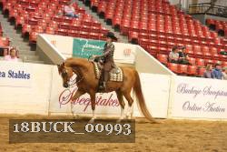 18BUCK_00993 proof