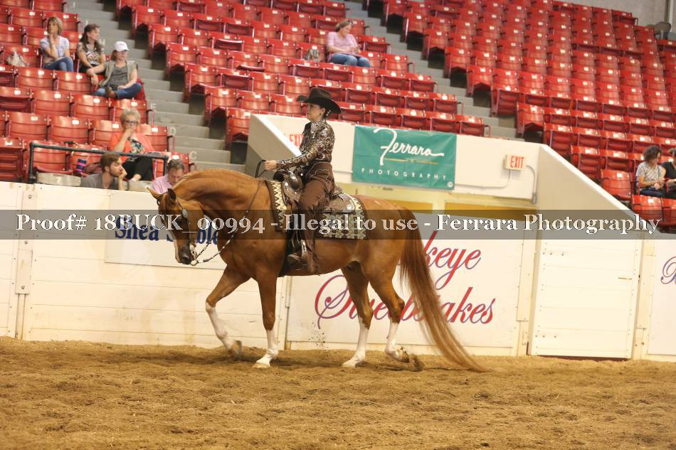 Proof 18BUCK_00994