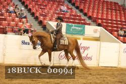 18BUCK_00994 proof