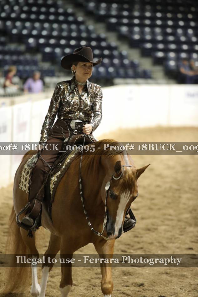 Proof 18BUCK_00995