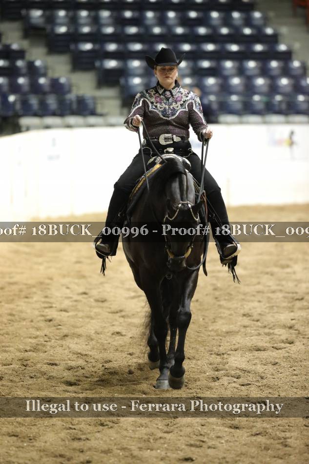 Proof 18BUCK_00996