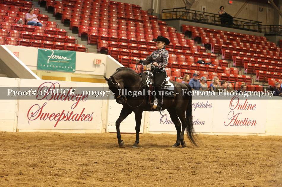 Proof 18BUCK_00997