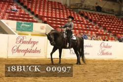 18BUCK_00997 proof