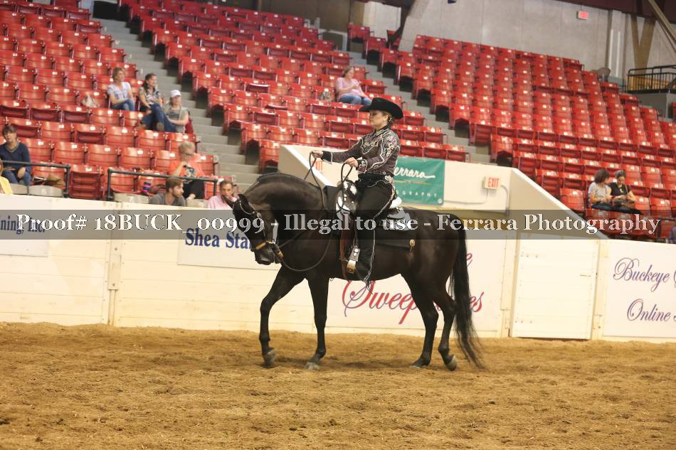 Proof 18BUCK_00999