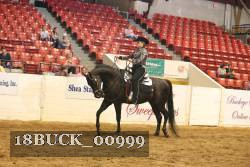 18BUCK_00999 proof