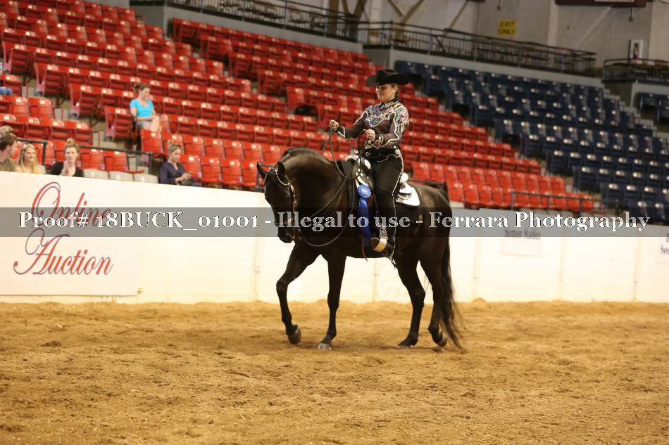 Proof 18BUCK_01001