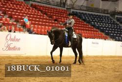 18BUCK_01001 proof