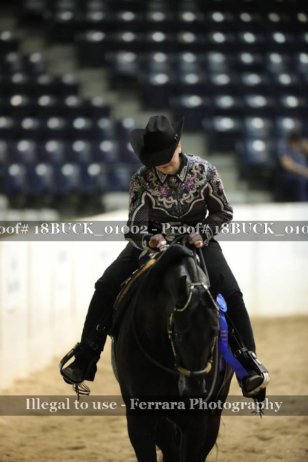 Proof 18BUCK_01002