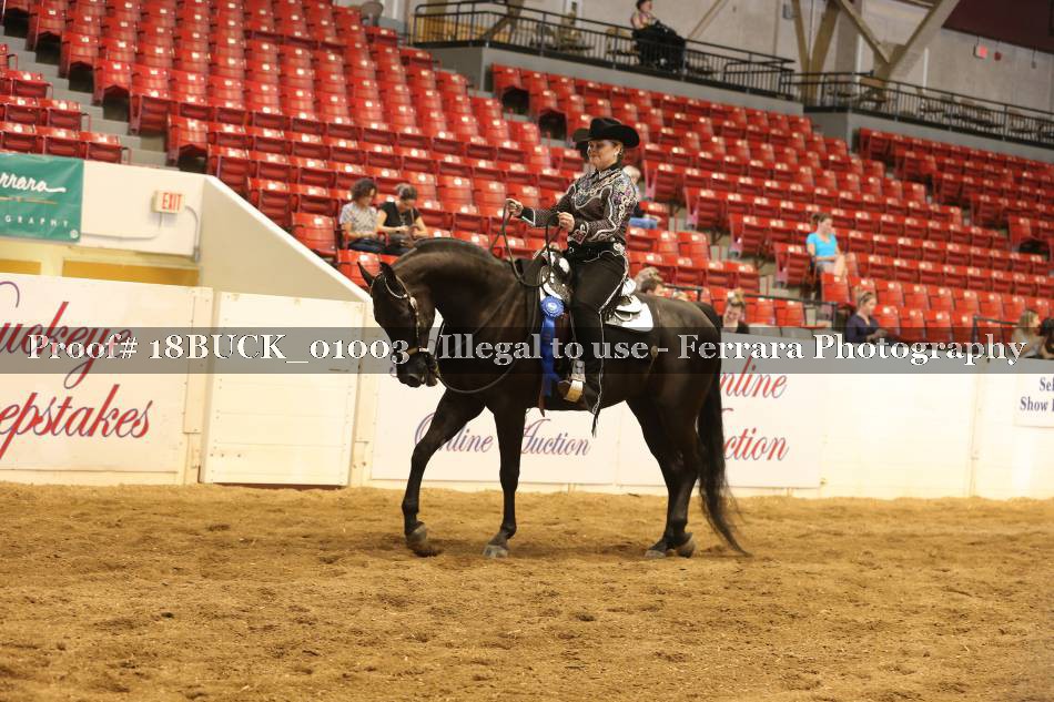 Proof 18BUCK_01003