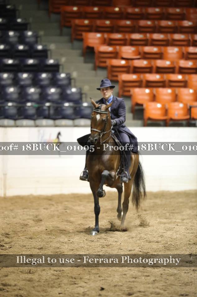 Proof 18BUCK_01005