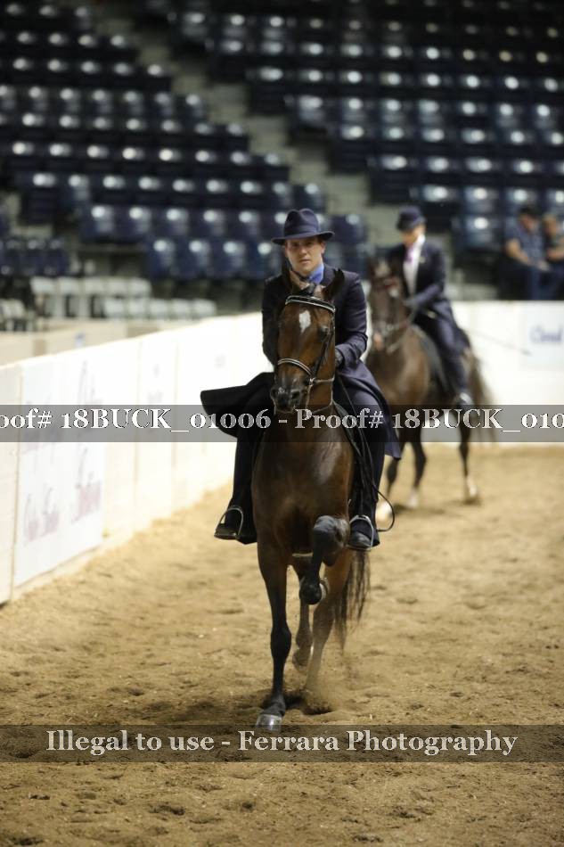 Proof 18BUCK_01006