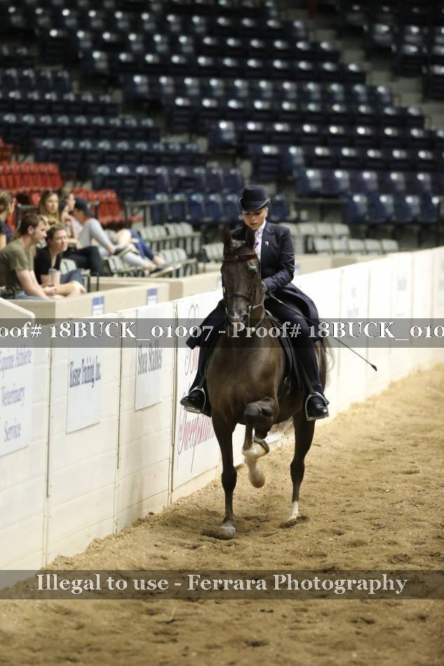 Proof 18BUCK_01007