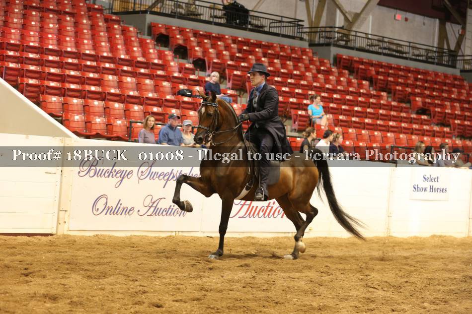 Proof 18BUCK_01008